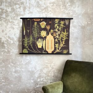 Affiche botanique ancienne