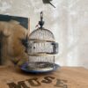 Cage oiseaux XIX